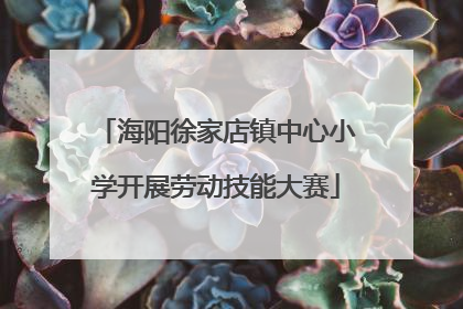 海阳徐家店镇中心小学开展劳动技能大赛