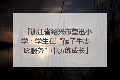 浙江省绍兴市鲁迅小学：学生在“孺子牛志愿服务”中历练成长