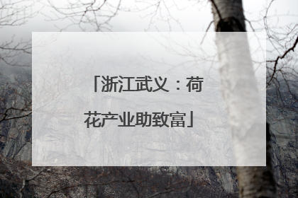 浙江武义：荷花产业助致富