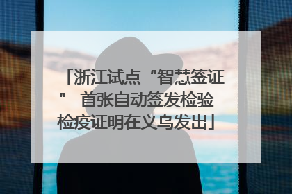 浙江试点“智慧签证” 首张自动签发检验检疫证明在义乌发出
