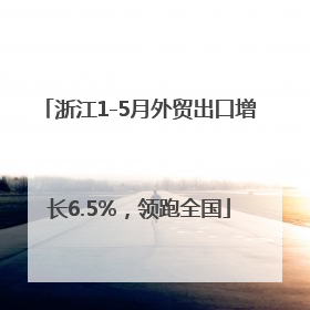 浙江1-5月外贸出口增长6.5%，领跑全国