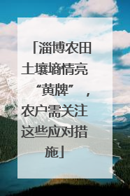 淄博农田土壤墒情亮“黄牌”，农户需关注这些应对措施