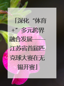 深化“体育+”多元跨界融合发展——江苏省首届匹克球大赛在无锡开赛