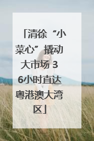 清徐“小菜心”撬动大市场 36小时直达粤港澳大湾区