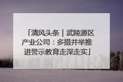 清风头条｜武陵源区产业公司：多措并举推进警示教育走深走实