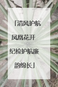 清风护航凤凰花开 纪检护航廉韵绵长