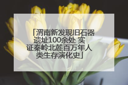 渭南新发现旧石器遗址100余处 实证秦岭北麓百万年人类生存演化史