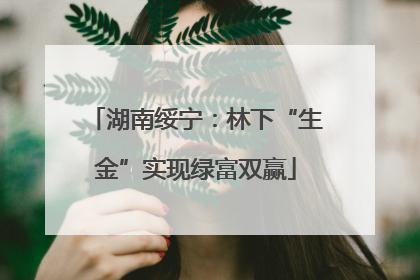 湖南绥宁：林下“生金”实现绿富双赢