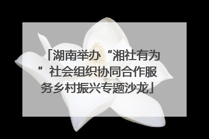 湖南举办“湘社有为”社会组织协同合作服务乡村振兴专题沙龙