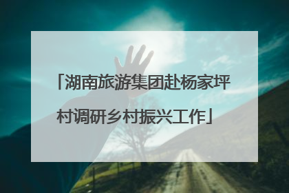湖南旅游集团赴杨家坪村调研乡村振兴工作
