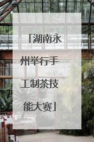 湖南永州举行手工制茶技能大赛