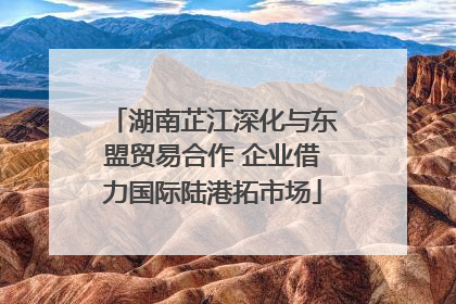 湖南芷江深化与东盟贸易合作 企业借力国际陆港拓市场