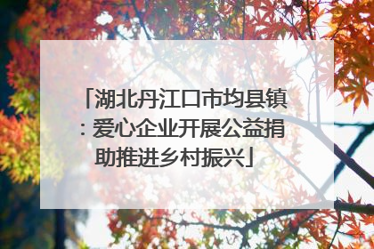 湖北丹江口市均县镇：爱心企业开展公益捐助推进乡村振兴