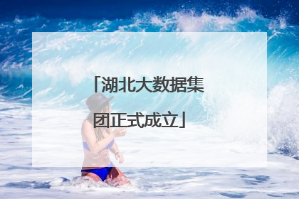 湖北大数据集团正式成立