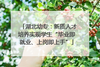 湖北幼专：新质人才培养实现学生“毕业即就业、上岗即上手”