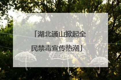 湖北通山掀起全民禁毒宣传热潮