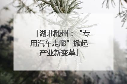 湖北随州：“专用汽车走廊”掀起产业新变革