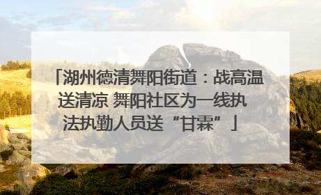 湖州德清舞阳街道：战高温 送清凉 舞阳社区为一线执法执勤人员送“甘霖”