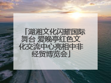 湖湘文化闪耀国际舞台 爱晚亭红色文化交流中心亮相中非经贸博览会