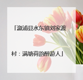 溆浦县水东镇刘家渡村：满塘荷韵醉游人
