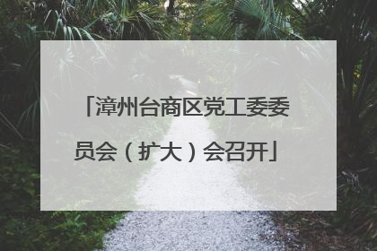 漳州台商区党工委委员会（扩大）会召开