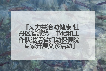 菏力共治助健康 牡丹区省派第一书记和工作队邀请省妇幼保健院专家开展义诊活动