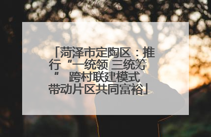 菏泽市定陶区：推行“一统领 三统筹” 跨村联建模式 带动片区共同富裕