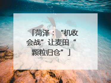 菏泽：“机收会战”让麦田“颗粒归仓”