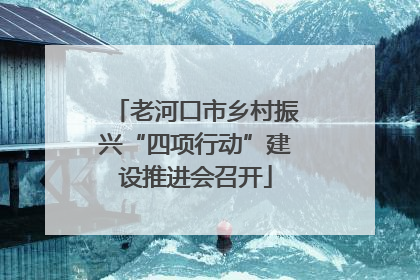 老河口市乡村振兴“四项行动”建设推进会召开
