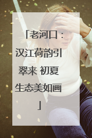 老河口：汉江荷韵引翠来 初夏生态美如画