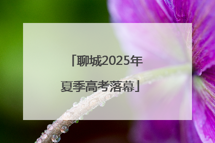 聊城2025年夏季高考落幕