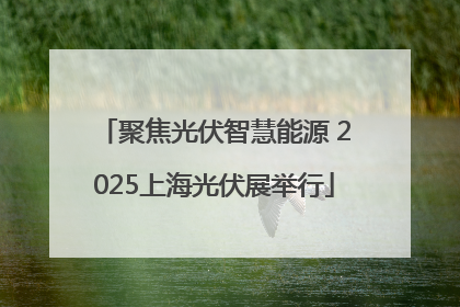 聚焦光伏智慧能源 2025上海光伏展举行
