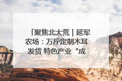 聚焦北大荒｜延军农场：万斤定制木耳发货 特色产业“成绩单”亮眼