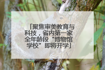 聚焦审美教育与科技，省内第一家全年龄段“博物馆学校”即将开学