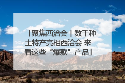 聚焦西洽会｜数千种土特产亮相西洽会 来看这些“爆款”产品