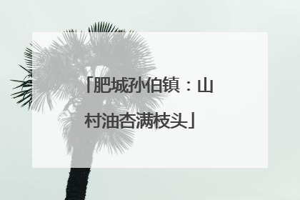 肥城孙伯镇：山村油杏满枝头