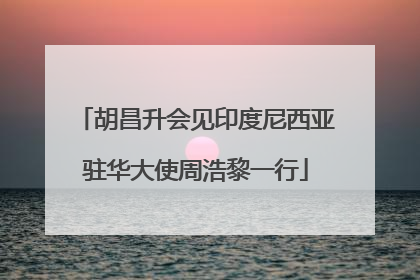 胡昌升会见印度尼西亚驻华大使周浩黎一行