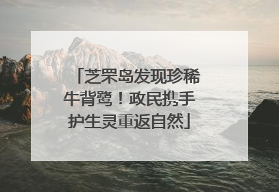 芝罘岛发现珍稀牛背鹭！政民携手护生灵重返自然