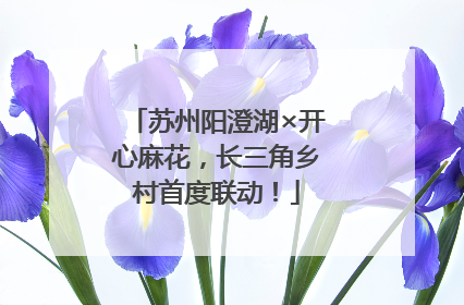 苏州阳澄湖×开心麻花，长三角乡村首度联动！