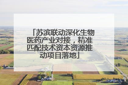 苏滨联动深化生物医药产业对接，精准匹配技术资本资源推动项目落地