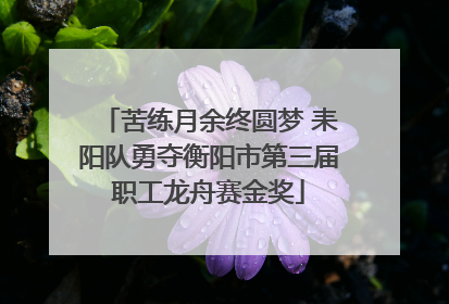 苦练月余终圆梦 耒阳队勇夺衡阳市第三届职工龙舟赛金奖