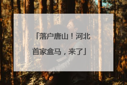 落户唐山！河北首家盒马，来了