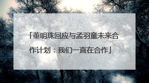 董明珠回应与孟羽童未来合作计划：我们一直在合作