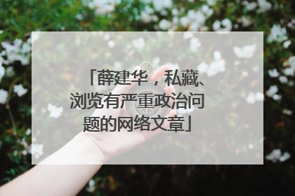 薛建华，私藏、浏览有严重政治问题的网络文章