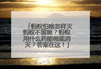 蚂蚁怕啥怎样灭蚂蚁不留痕？蚂蚁用什么药能彻底消灭？答案在这！