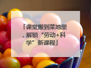 课堂搬到菜地里，解锁“劳动+科学”新课程