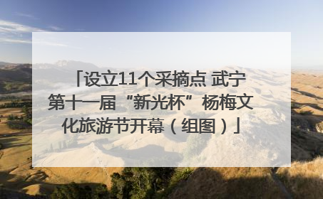 设立11个采摘点 武宁第十一届“新光杯”杨梅文化旅游节开幕（组图）