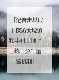 记者走基层丨探访大垸镇和丰村土地“三统一分”运营机制
