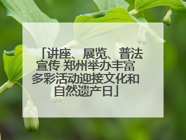 讲座、展览、普法宣传 郑州举办丰富多彩活动迎接文化和自然遗产日