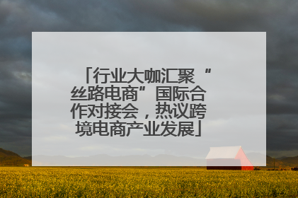 行业大咖汇聚“丝路电商”国际合作对接会，热议跨境电商产业发展